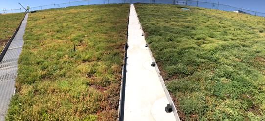 Piezas FYT Waterfix en una cubierta vegetal